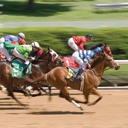 Oaklawn Racing & Gaming things to do in Hot Springs, Arkansas