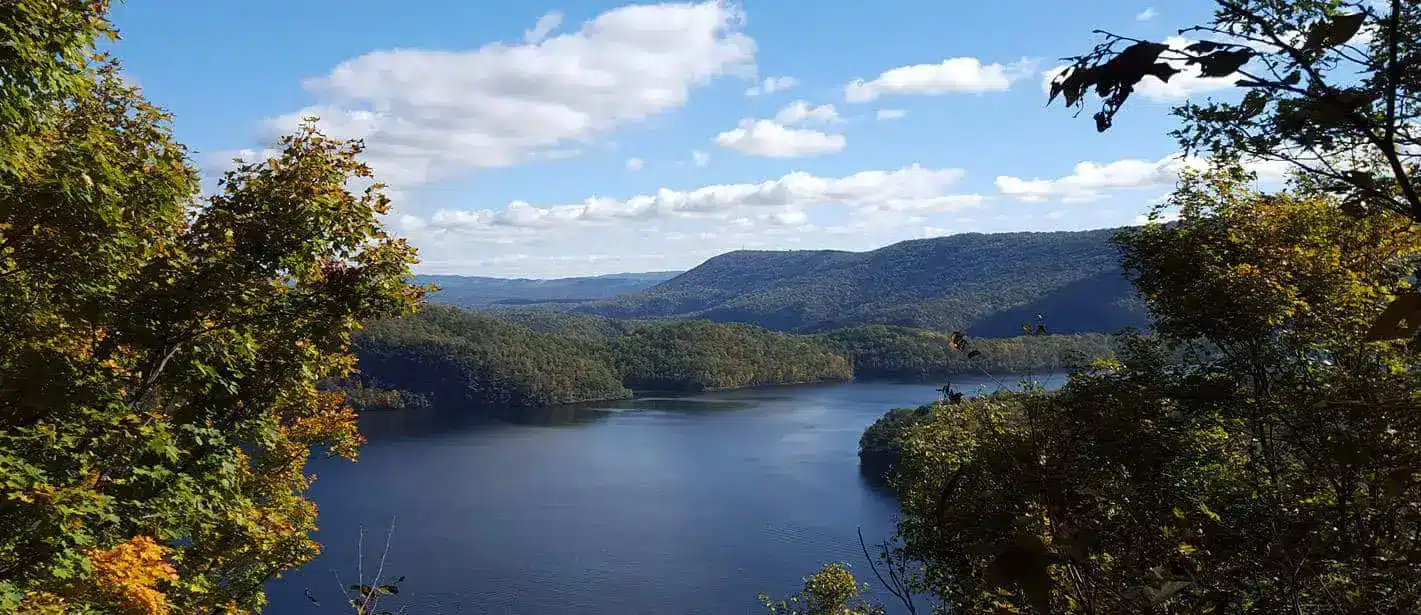 Lake Raystown Resort - Photo 2