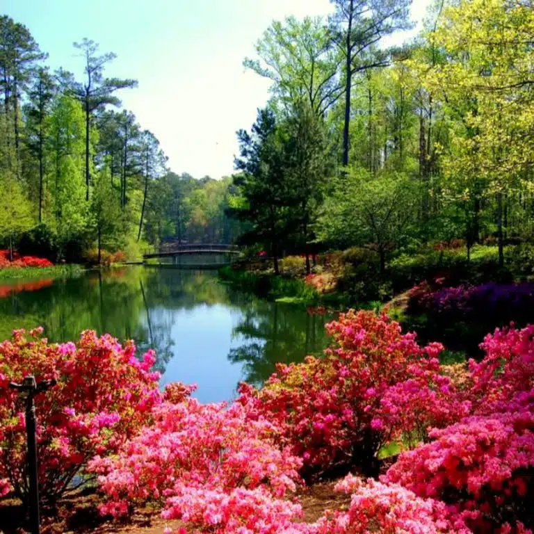 Callaway Gardens®