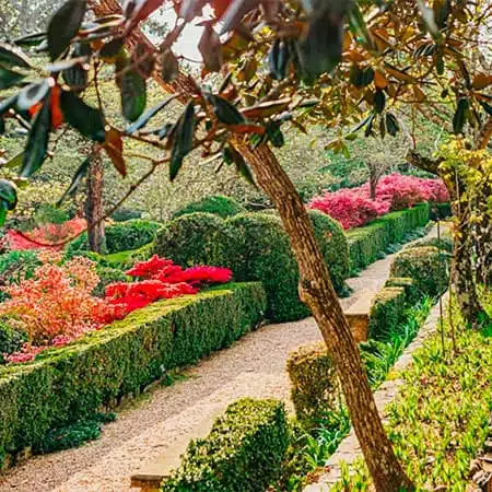 Trail with colorful flowers