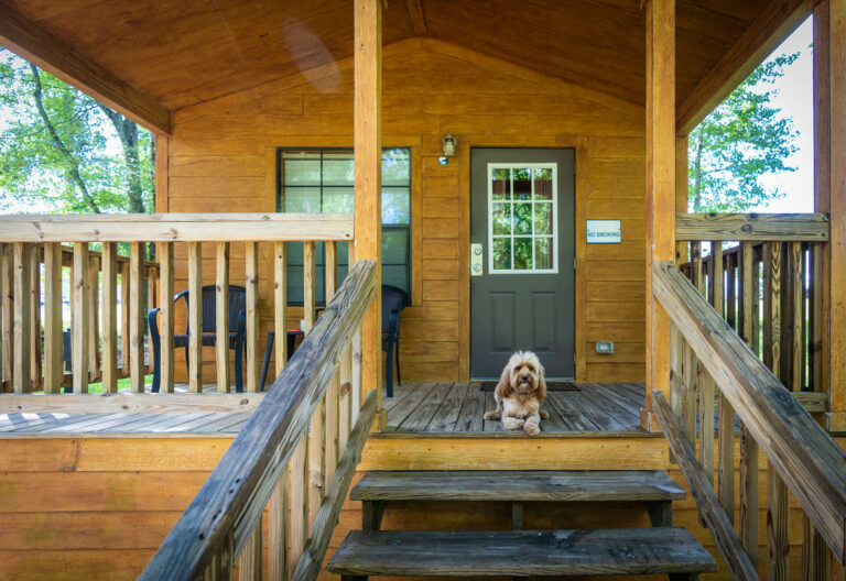 Photo Gallery of Pine Mountain Campground and RV Resort