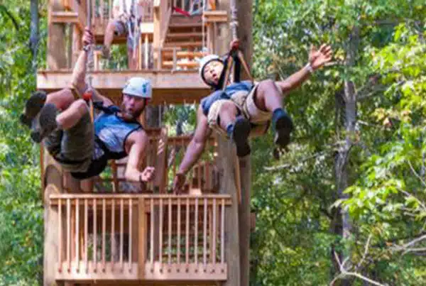 Zipline RVC Outdoors