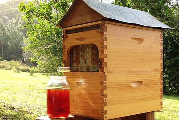 Honeybees home