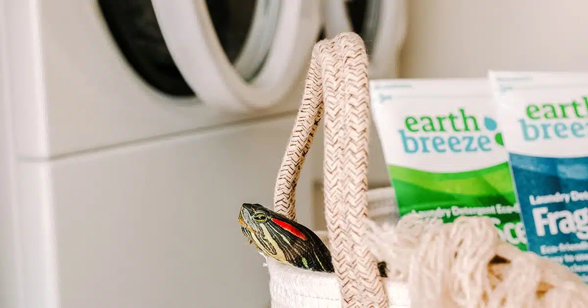 Laundry Soap And Dryer Sheets | RVC Outdoor Destinations