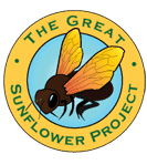 Bees - the Great Sunflower Project