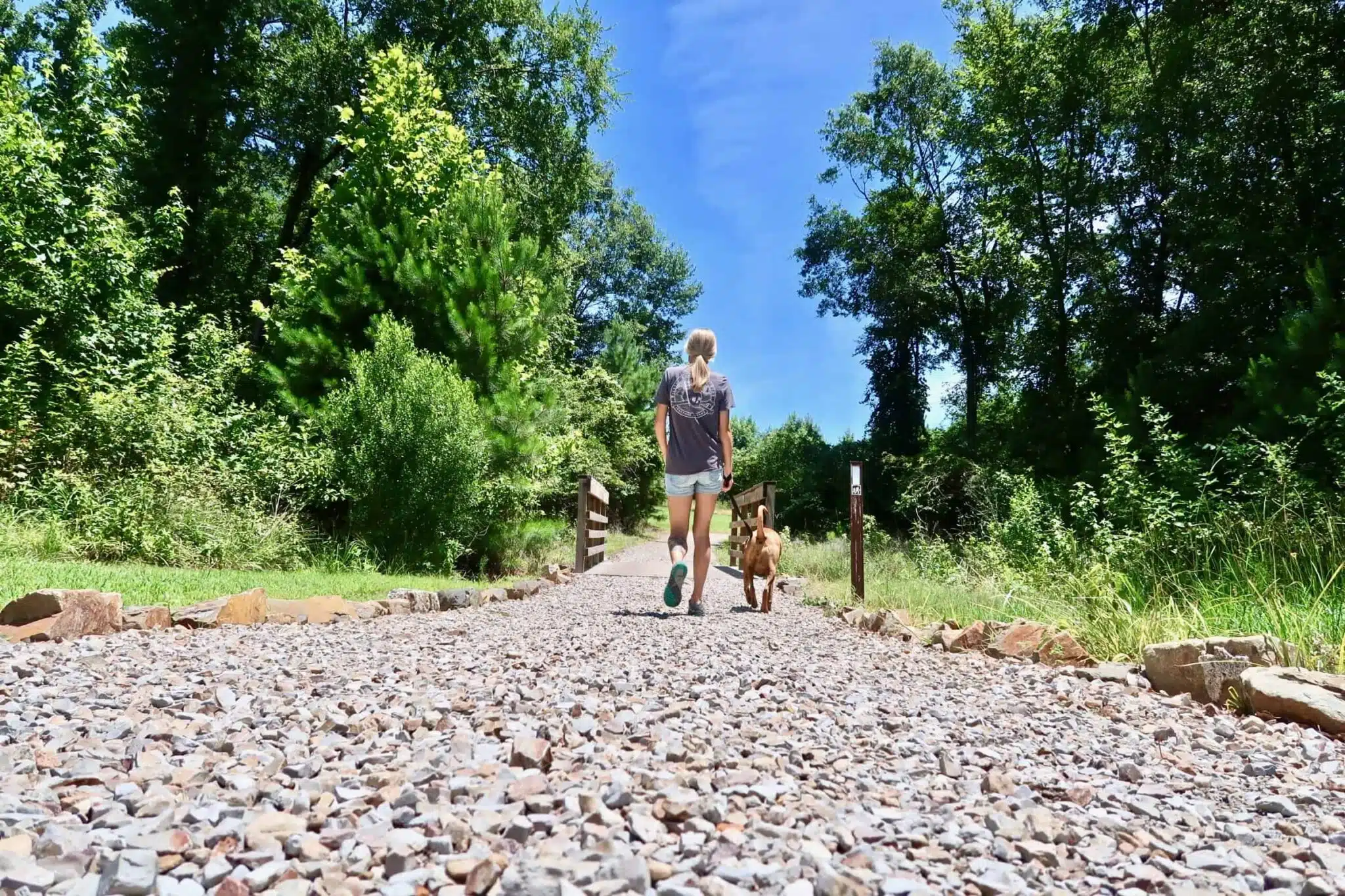 Pet-friendly Camping - RVC Outdoor Destinations