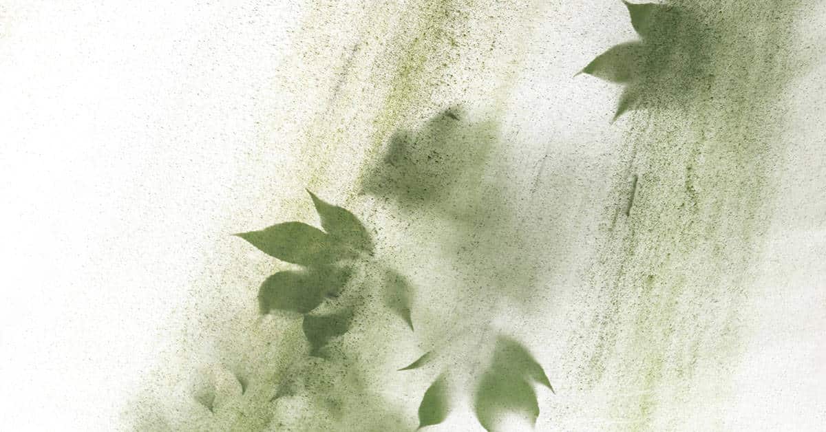 Leaf Prints