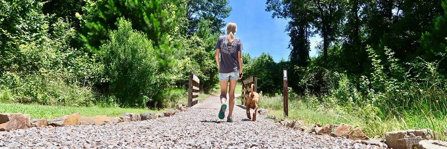 Accessories for Camping with Dogs