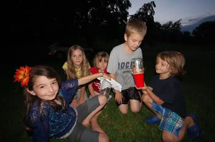 Mountain Springs Cabins - Firefly Catching