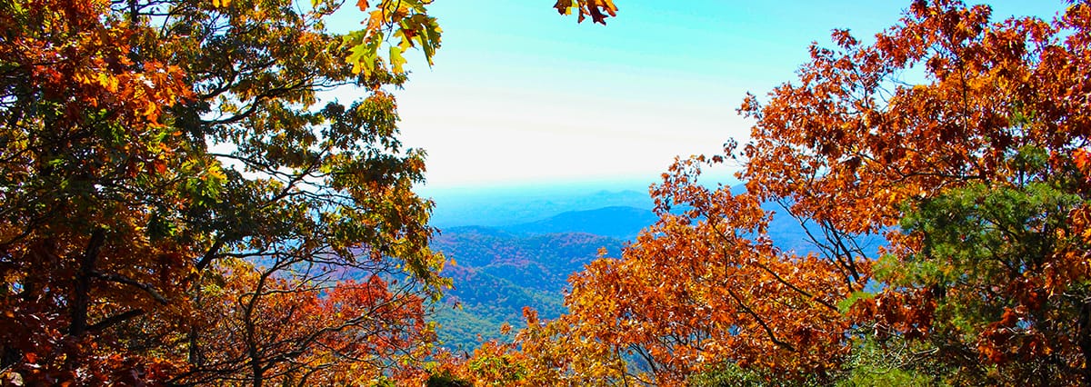 Georgia Fall