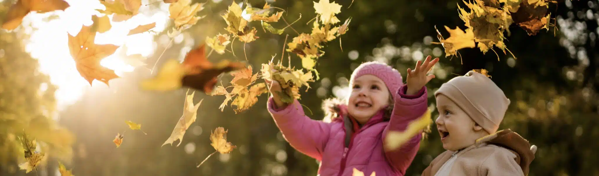 Fall in Love with Autumn Leaf Color Changes