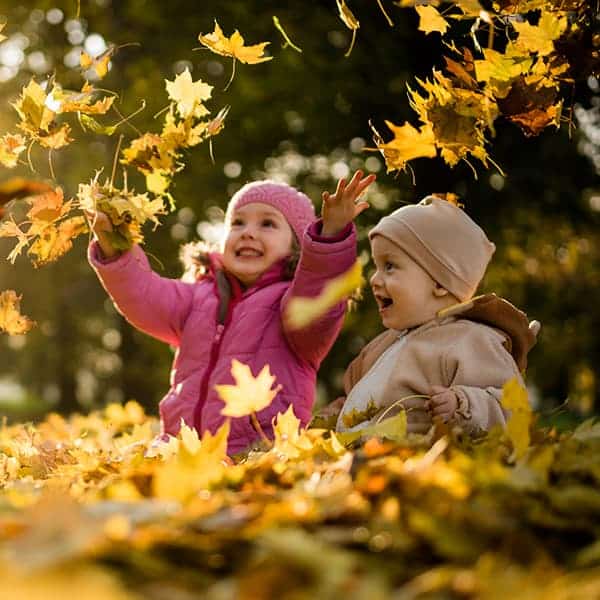 Foliage Color Changes | Blog | RVC Outdoor Destinations