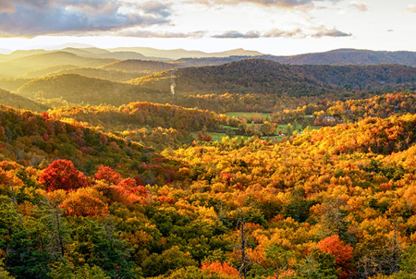 Blue Ridge Parkway - Mountain Springs Cabins