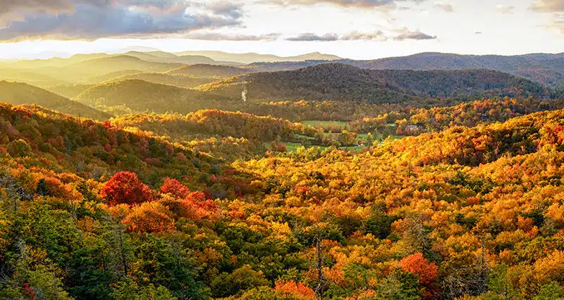 Blue Ridge Parkway - Mountain Springs Cabins