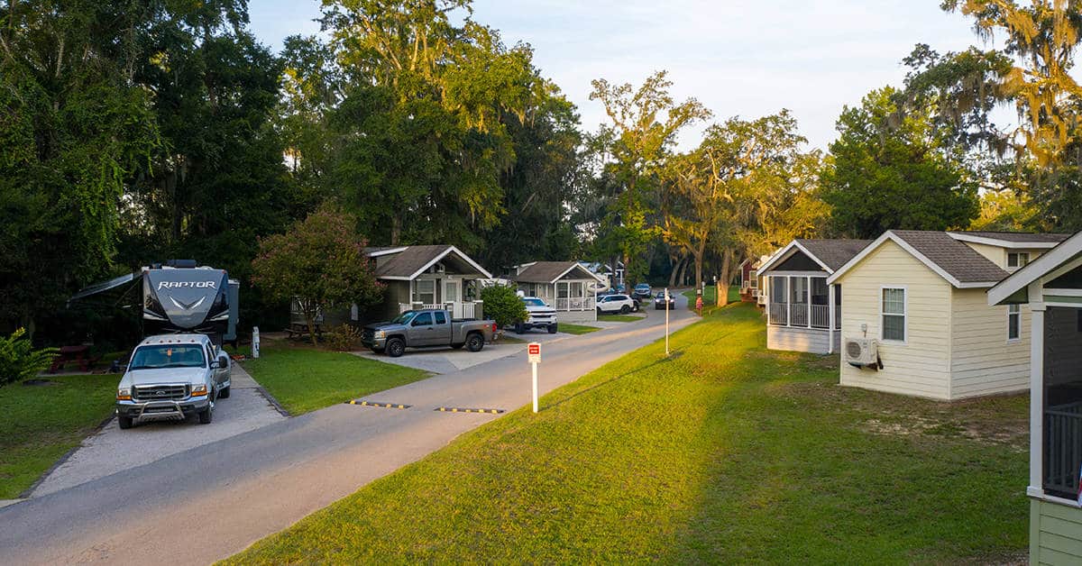 Cyber Monday 2020 | Live Oak Landing