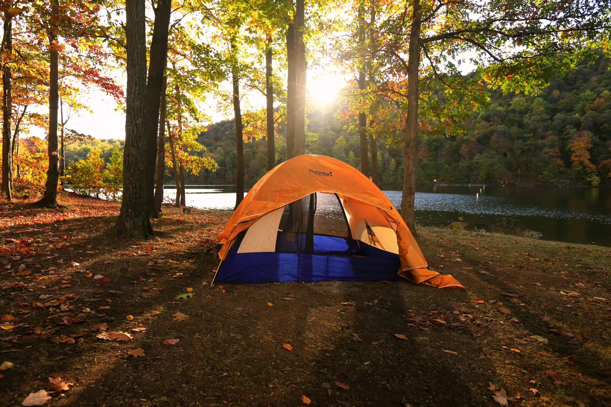 7 Camping Destinations to Celebrate Arbor Day