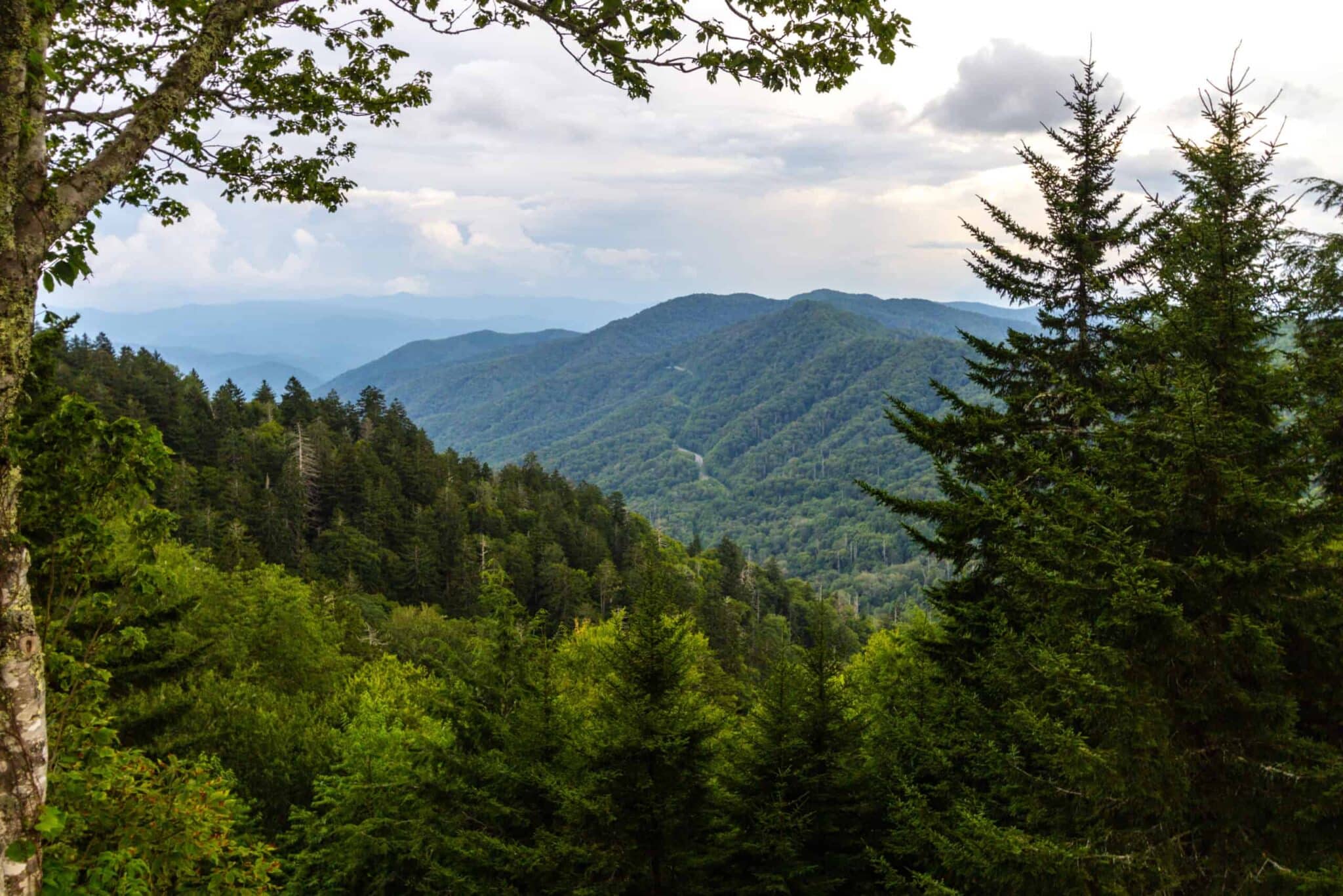 Why RV Camping Should Be Your Next Family Vacation