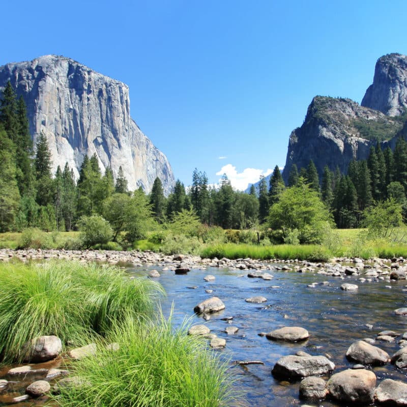 yosemite-national-park-spring-camping