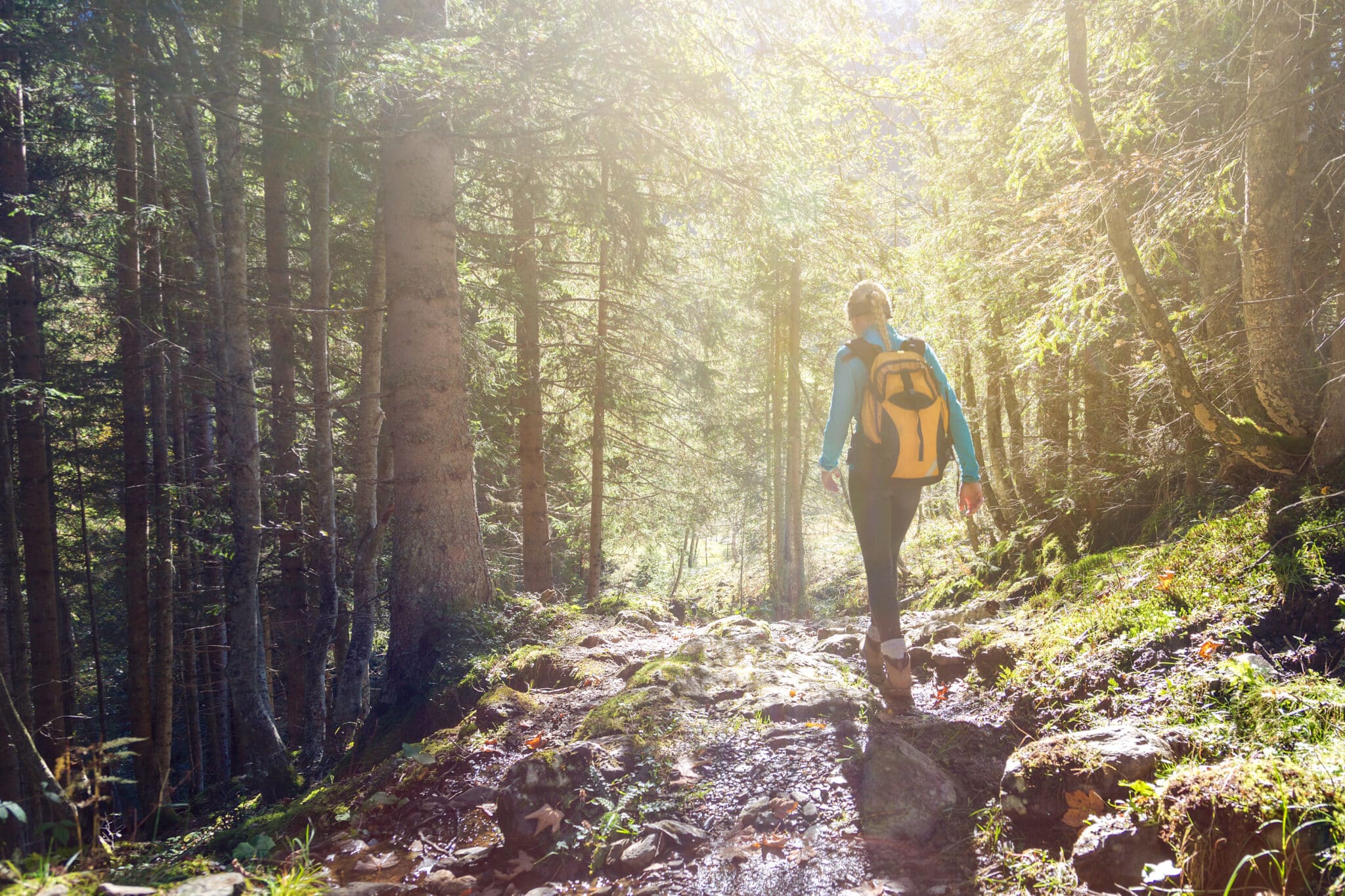 Top 5 RV Destinations for Hikers