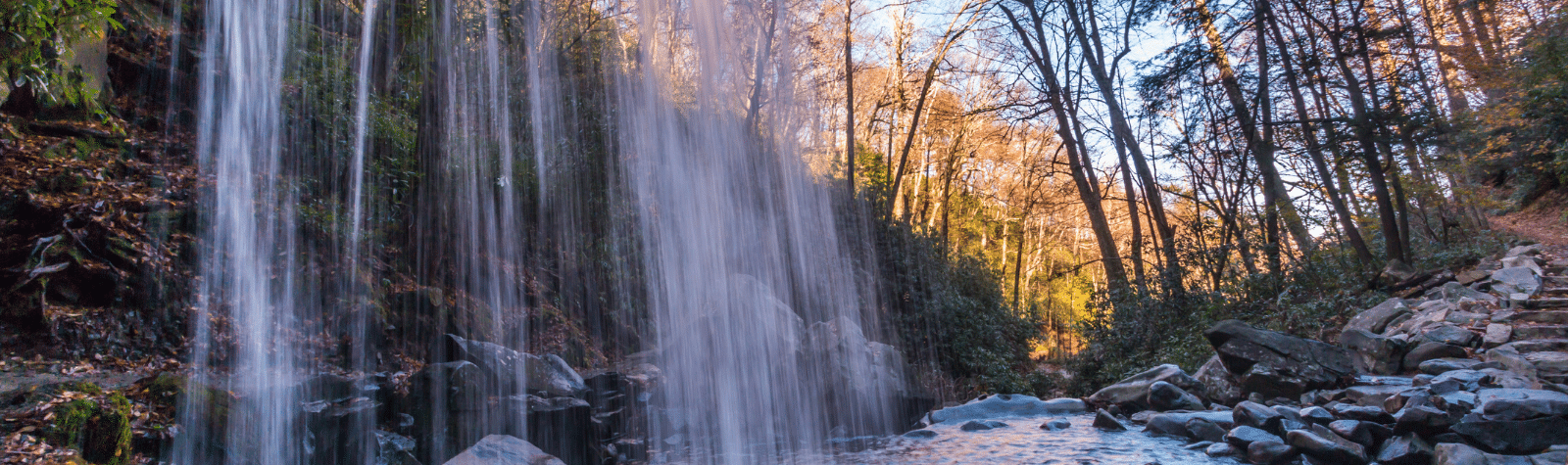 Pigeon Forge Hiking: Top 11 Trails to Try