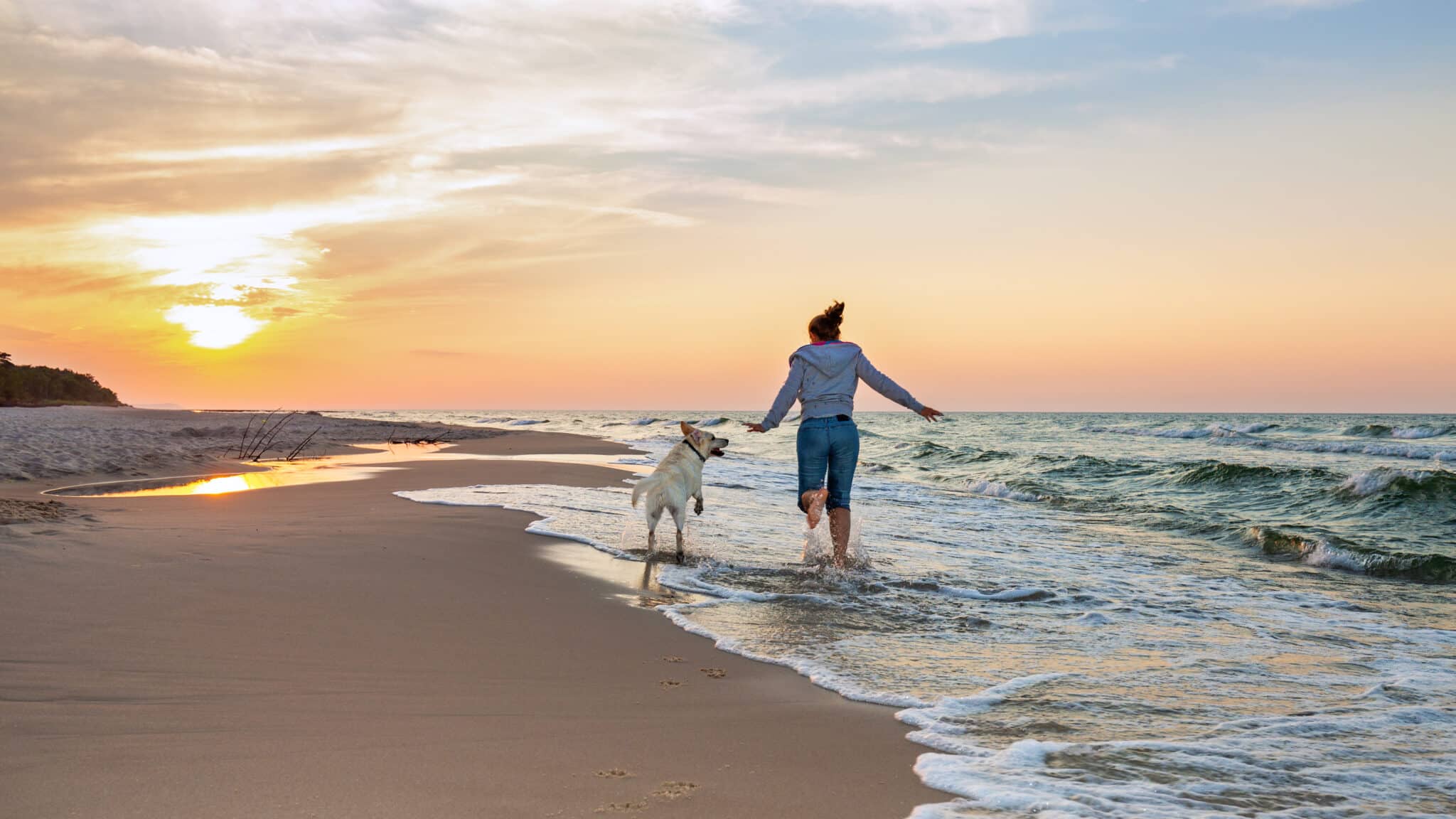 Pet-Friendly Gulf Shores: What You Need to Know About Traveling with Dogs