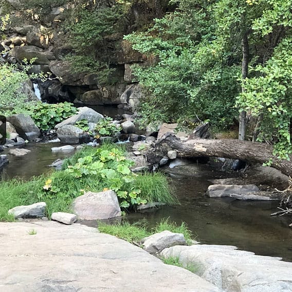 Lewis Creek Yosemite